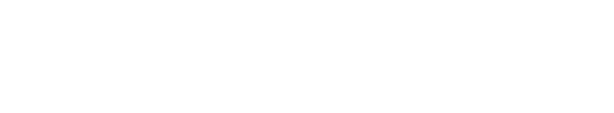 Period Panties